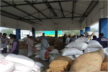 Auction Platform,Jalangi Krishak Bazar